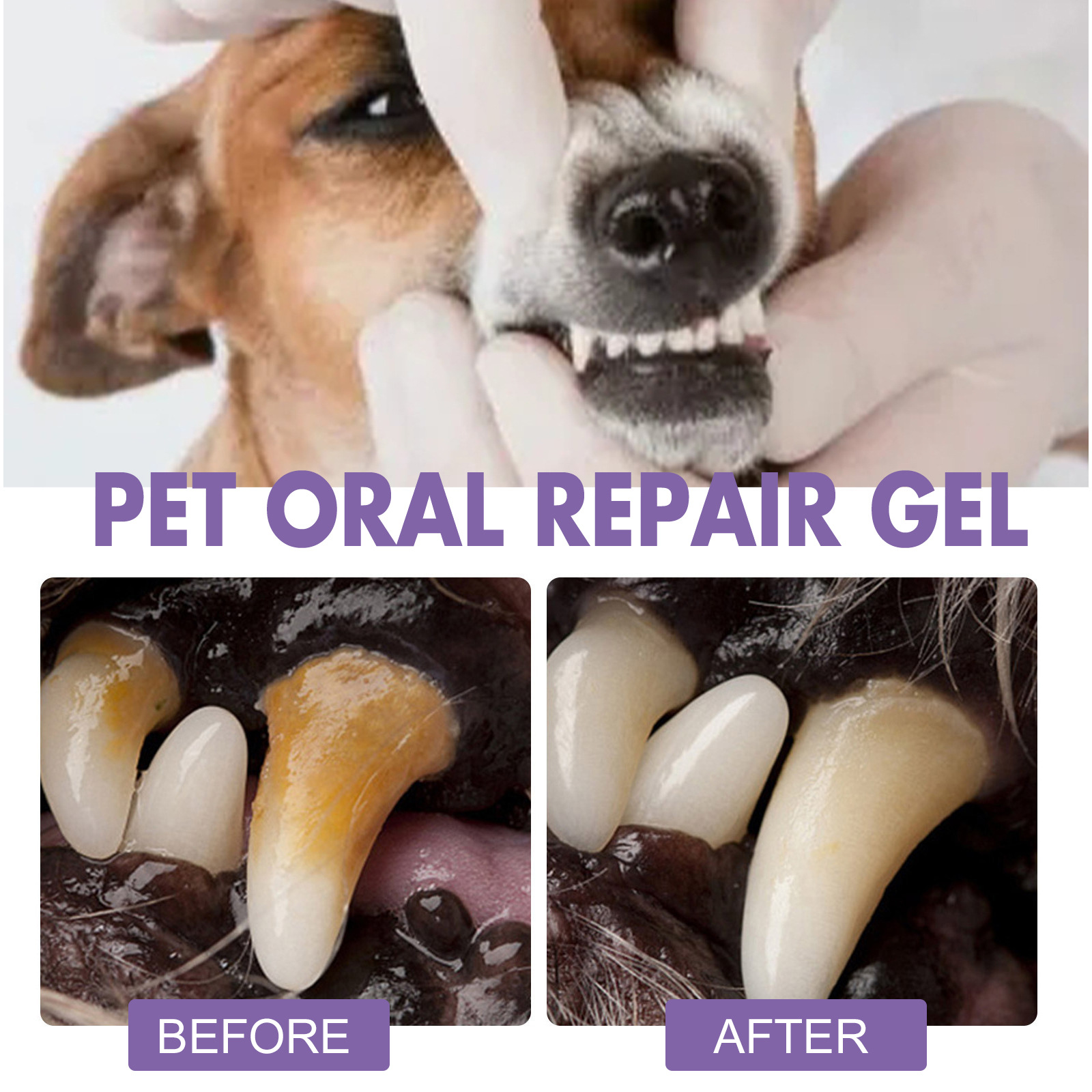 Pet Oral Repair Gel Puppy Tart - огляд і ціна Teeth Whitening Ulta